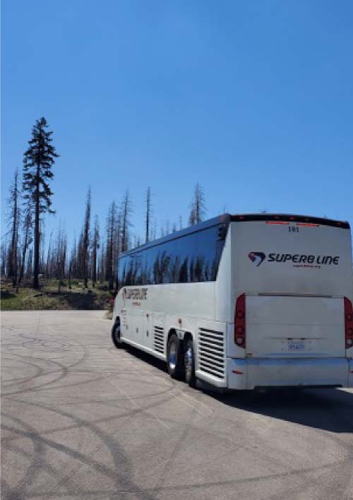 legant wedding white charter bus, arriving at a Fresno wedding venue with excitement and anticipation
